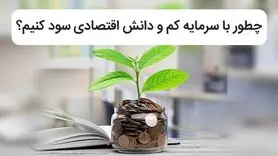 چطور با سرمایه کم و دانش اقتصادی سود کنیم؟