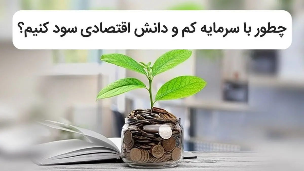 چطور با سرمایه کم و دانش اقتصادی سود کنیم؟