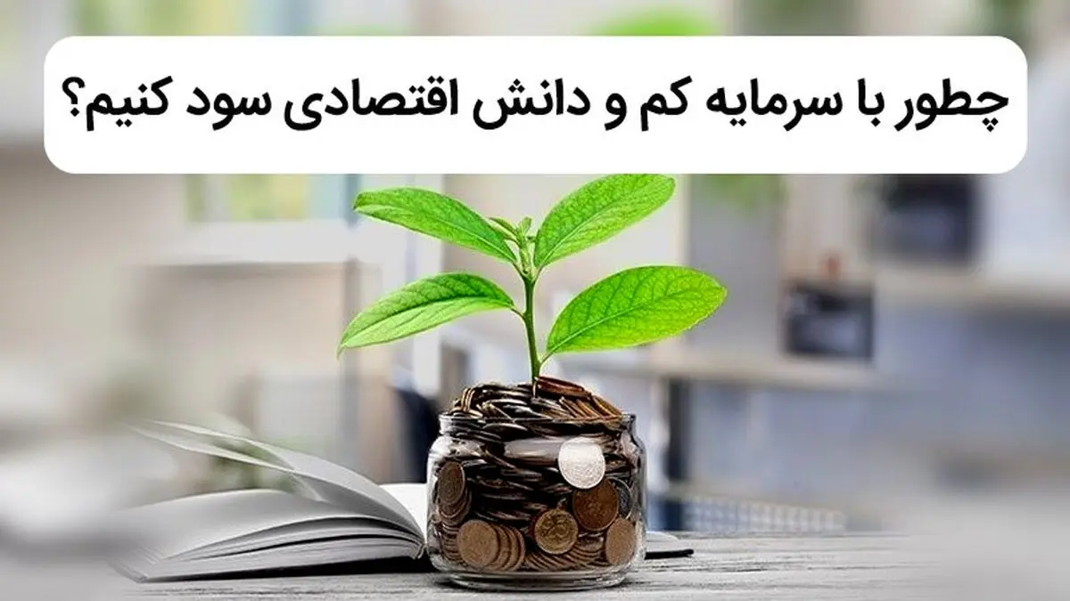 چطور با سرمایه کم و دانش اقتصادی سود کنیم؟