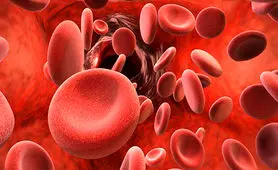 تمایل به خودکشی را می‌توان با بررسی ترکیبات خون افراد تشخیص داد