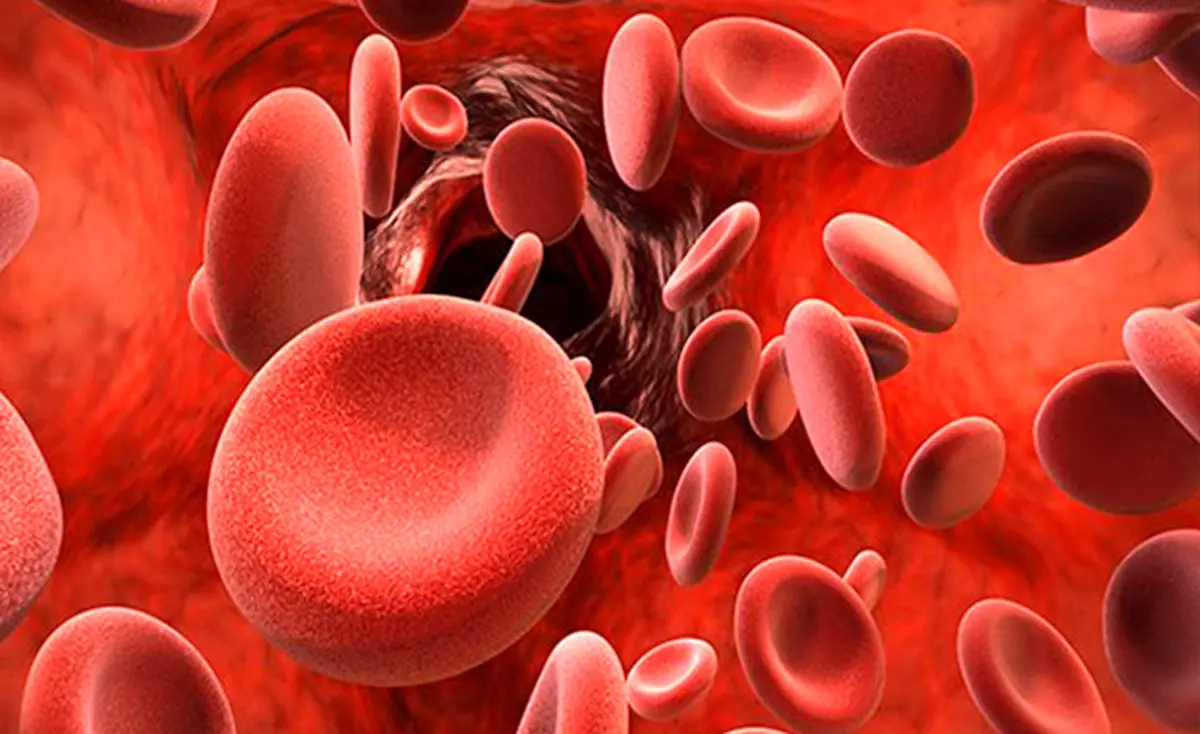 تمایل به خودکشی را می‌توان با بررسی ترکیبات خون افراد تشخیص داد