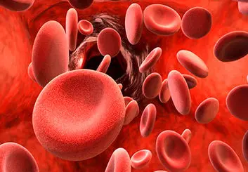 تمایل به خودکشی را می‌توان با بررسی ترکیبات خون افراد تشخیص داد