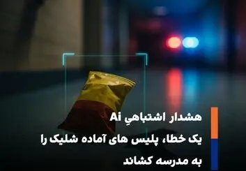  پاکت چیپس به‌جای اسلحه شناسایی شد