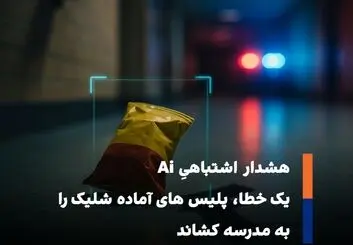  پاکت چیپس به‌جای اسلحه شناسایی شد