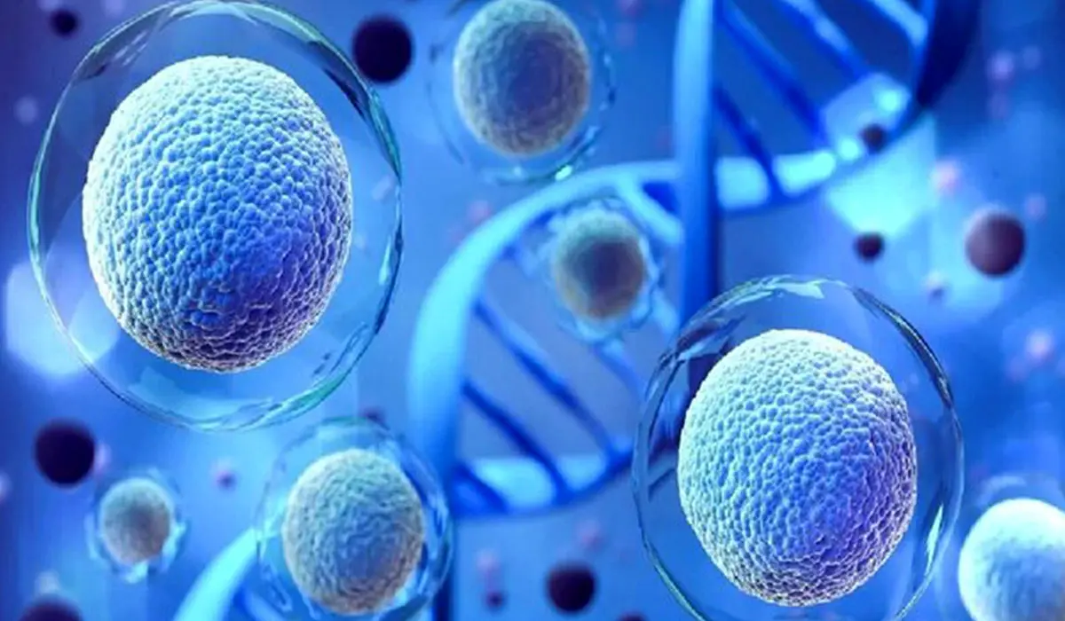 تولید کرم‌های شخصی‌سازی شده از اگزوزوم برای درمان زخم‌
