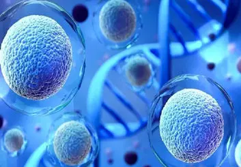 تولید کرم‌های شخصی‌سازی شده از اگزوزوم برای درمان زخم‌
