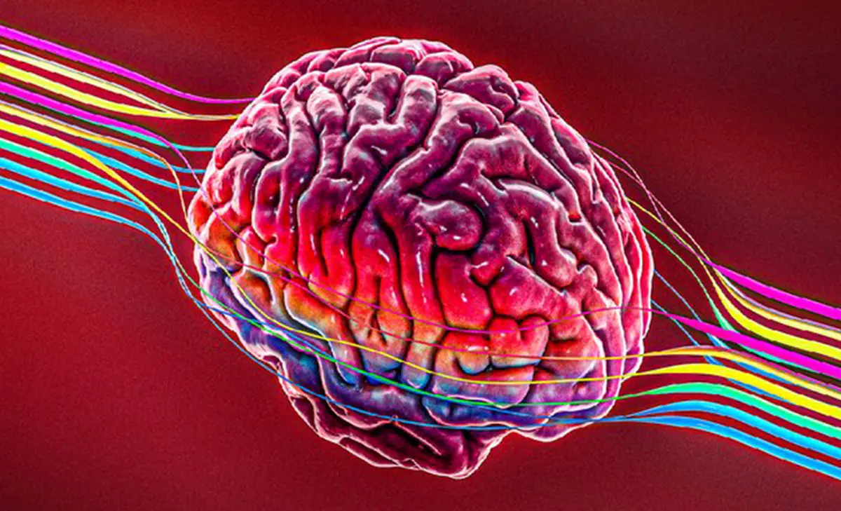 الکترودی برای رصد مستمر سطح دوپامین در مغز
