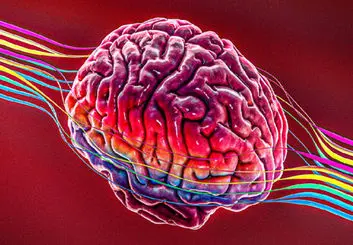 الکترودی برای رصد مستمر سطح دوپامین در مغز
