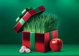 معرفی ۷ هدیه سازمانی مناسب عید نوروز