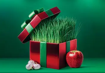 معرفی ۷ هدیه سازمانی مناسب عید نوروز