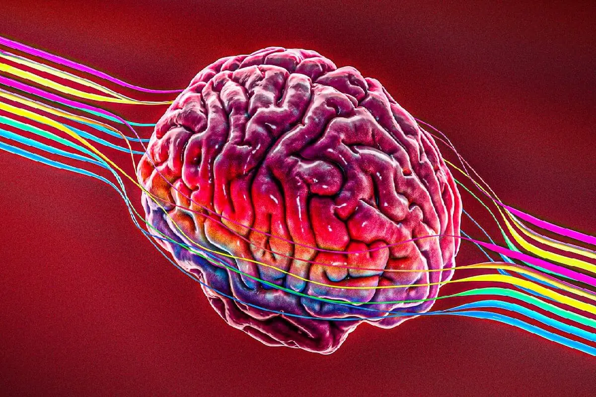 شاید بتوان آلزایمر را با نور و صدا درمان کرد
