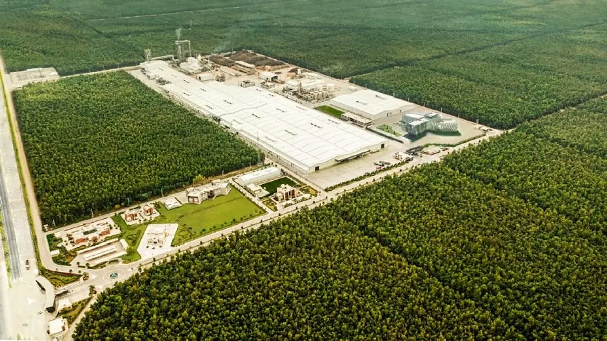 جوانه‌های همت و امید