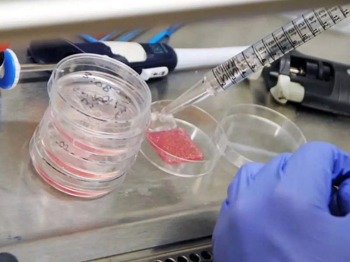 دانشمندان پوست بیوپرینت‌شده‌ای ایجاد کردند که باعث بهبود سریع و بهتر زخم‌ها می‌شود