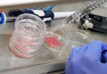 دانشمندان پوست بیوپرینت‌شده‌ای ایجاد کردند که باعث بهبود سریع و بهتر زخم‌ها می‌شود