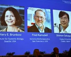 محققان حوزه سیستم ایمنی برنده نوبل پزشکی شدند