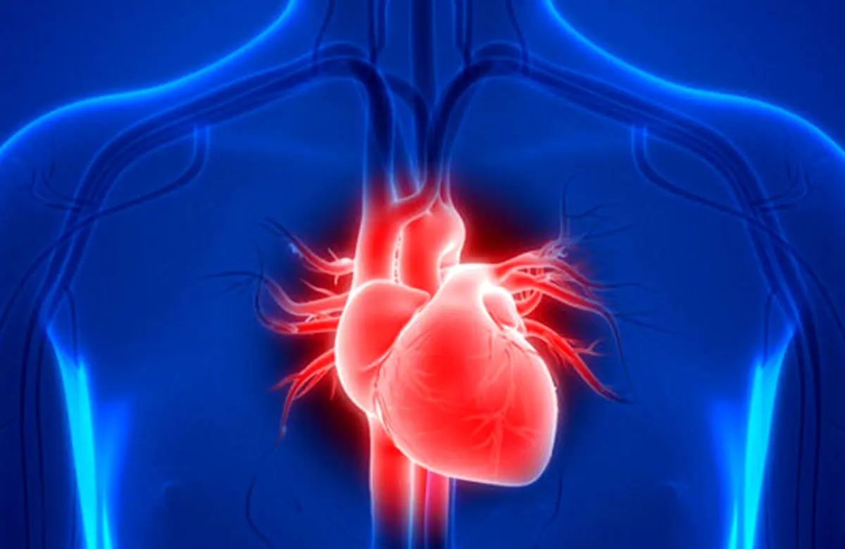 شارژ باتری ضربان‌ساز با ضربان خود قلب توسط دانشمند ایرانی
