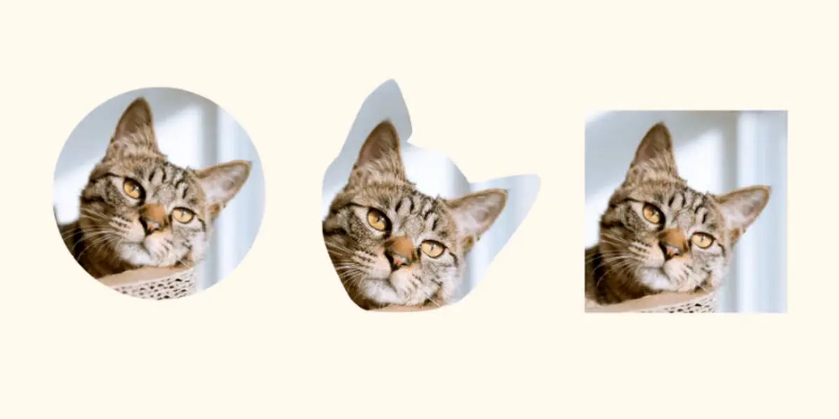 آموزش قراردادن عکس در شکل در ایلوستریتور +[3 گام ]