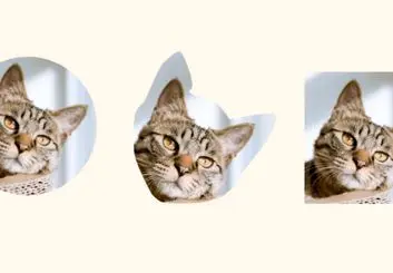 آموزش قراردادن عکس در شکل در ایلوستریتور +[3 گام ]