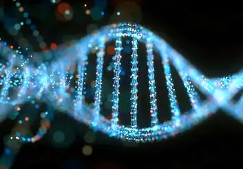 تولید موادی غیر معمول با ترکیب نانوذرات توخالی و رشته‌های DNA
