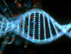 تولید موادی غیر معمول با ترکیب نانوذرات توخالی و رشته‌های DNA
