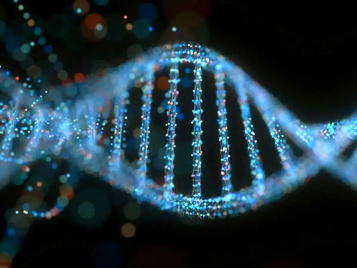 تولید موادی غیر معمول با ترکیب نانوذرات توخالی و رشته‌های DNA
