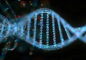تولید موادی غیر معمول با ترکیب نانوذرات توخالی و رشته‌های DNA
