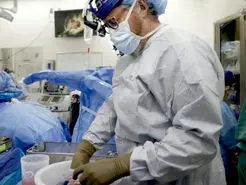 میمون‌ها با پیوند کلیه اصلاح‌شده خوک‌ها تا 2 سال بیشتر عمر کردند