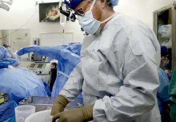 میمون‌ها با پیوند کلیه اصلاح‌شده خوک‌ها تا 2 سال بیشتر عمر کردند