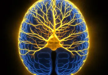 محققان، گفتار را از روی فعالیت مغز بازسازی کردند
