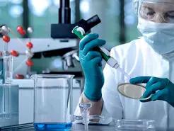  درمان «از بین رفتن حجم ماهیچه ای» با مهندسی باکتری