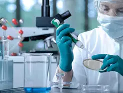  درمان «از بین رفتن حجم ماهیچه ای» با مهندسی باکتری