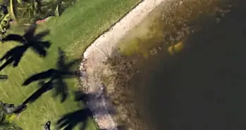 جسد مردی پس از 22 سال با کمک گوگل مپ پیدا شد!