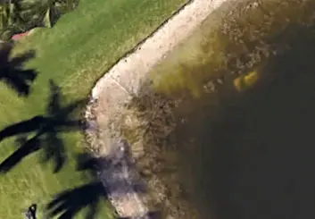 جسد مردی پس از 22 سال با کمک گوگل مپ پیدا شد!