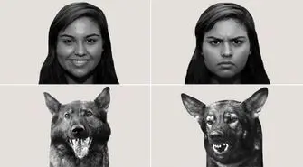 سگ‌ها قادر به درک حالت‌های عاطفی انسان هستند