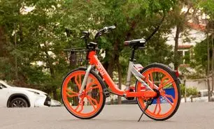 مسیرتان را با دوچرخه های بیدود ادامه دهید