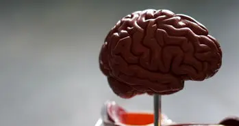 دولت آمریکا صادرات نرم افزارهای هوش مصنوعی را محدود می کند