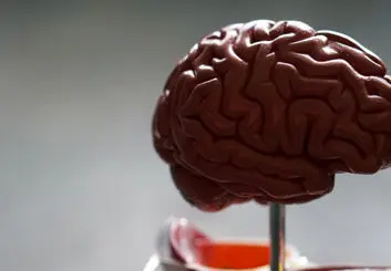 دولت آمریکا صادرات نرم افزارهای هوش مصنوعی را محدود می کند