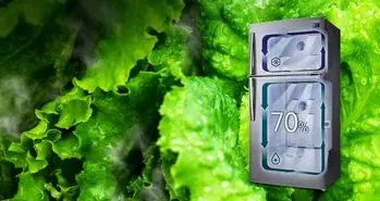 راهی برای تازه ماندن مواد غذایی