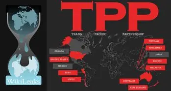 التماس ویکیلیکس به طرفدارانش برای توقف حملات اینترنتی