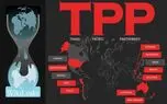 التماس ویکیلیکس به طرفدارانش برای توقف حملات اینترنتی