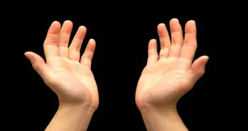 تماشا کنید؛ روند تکامل دست‌های انسان