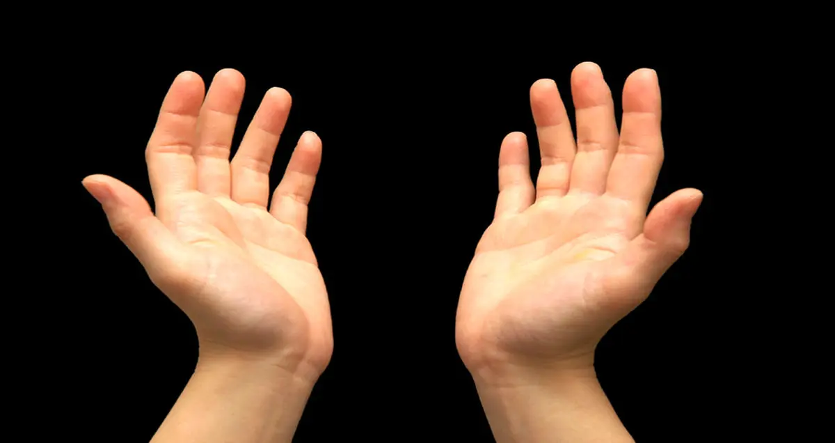 تماشا کنید؛ روند تکامل دست‌های انسان