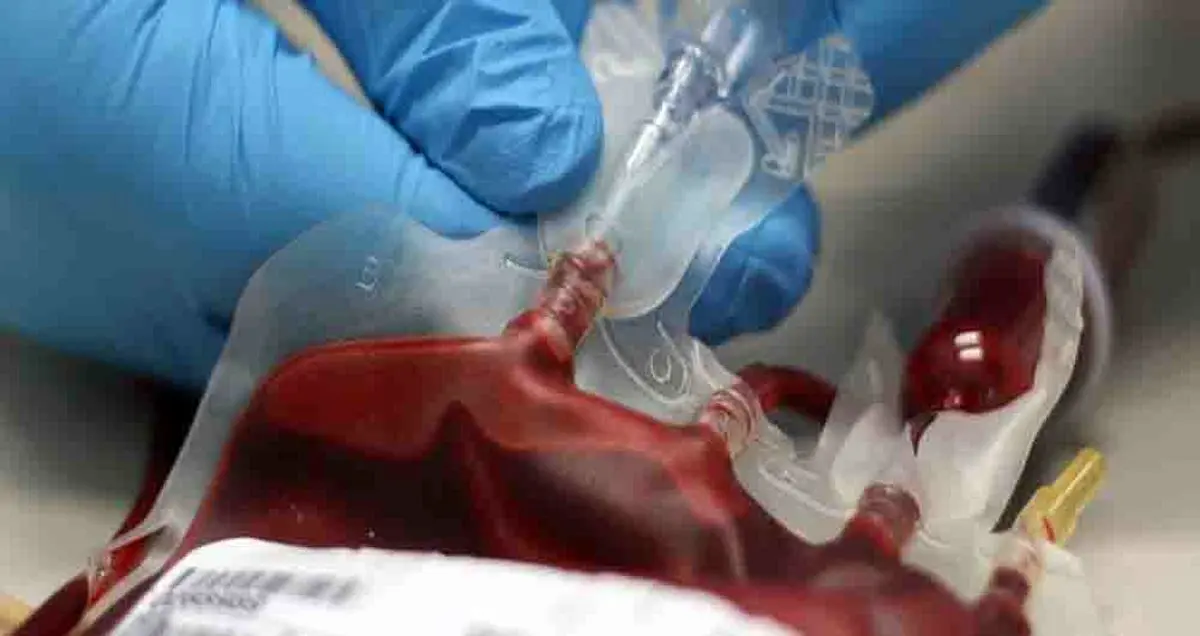 کشف راه جوانسازی انسان از طریق آزمایش بر روی یک موش پیر