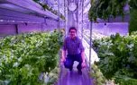 پرورش سبزیجات با برق و نور LED در قطب