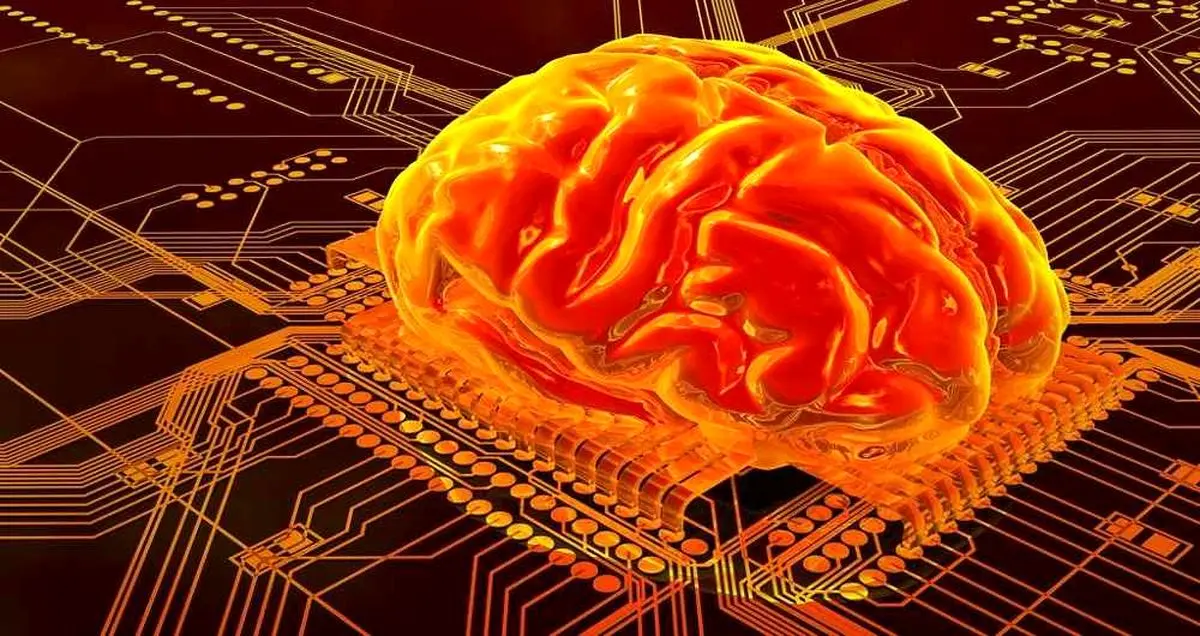 درمان حافظه کوتاه مدت از طریق شبیه سازی مغز ممکن شد