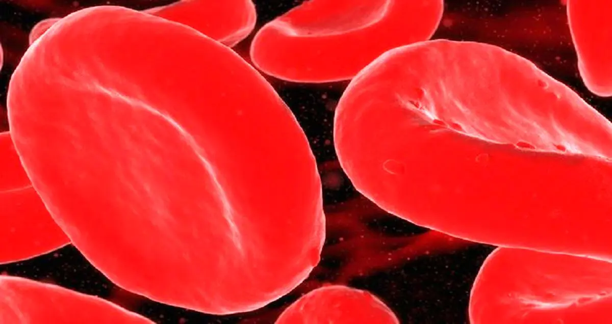 کاهش سرعت روند پیری با تزریق خون جوان