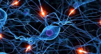 منشا بیماری پارکینسون دستگاه گوارش است