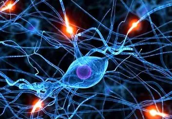 منشا بیماری پارکینسون دستگاه گوارش است