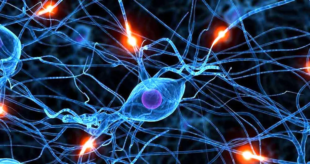 منشا بیماری پارکینسون دستگاه گوارش است
