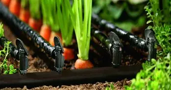 حل مشکل آبیاری کشاورزان از طریق ابتکار دانشجوی ایرانی